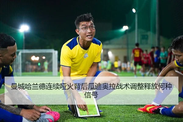 man-cheng-ha-lan-de-lian-xu-ya-huo-bei-hou-gua-di-ao-la-zhan-shu-tiao-zheng-shi-fang-he-zhong-xin-hao-2-628.jpg