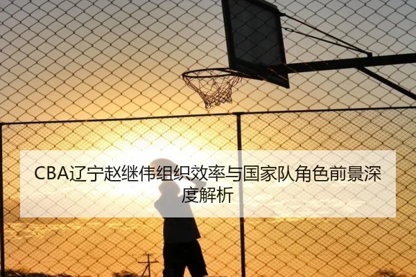 CBA辽宁赵继伟组织效率与国家队角色前景深度解析
